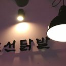 조선닥발