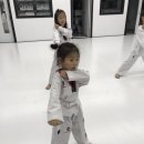 백호타이거즈태권도 이미지