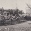 공설운동장동편(2) 티스토리