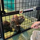 에이코스 | 🐕서울에도 동물원이? 이색 데이트코스, 홍대 테이블에이 찐 방문후기! 재방문 의사 300프로!!