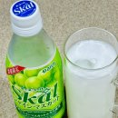 샤인글로브