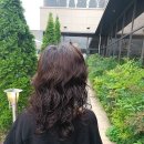 다인미용실 - 화성시 | 다인미용실