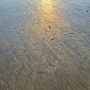 사촌마을해수욕장민박 | 남해 여행 코스 추천｜노을빛이 아름다운 사촌 해수욕장