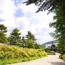 에덴시아 이미지