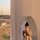 누아르 블랑 이미지