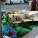 스마트폰길라잡이 이미지