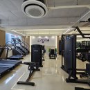 디프로PT 이미지