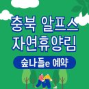 속리산알프스야영장 | 충북알프스 자연휴양림 숲속의집 알프스빌리지 안내 - 숲나들e 예약
