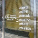 블러썸네일스킨