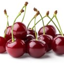 체리마트 이미지