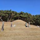 전사벌왕릉 이미지