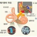 이석증 어지럼증 원인 자가진단 자가, 이석증법 이미지