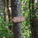 위드펫 빌리지 이미지