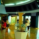 반디랜드 곤충박물관 전시실 이미지