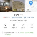 정입면