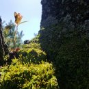 복음세탁소 이미지