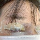오드리뷰티 | 속초 오드리뷰티 속눈썹펌 속눈썹연장 대성공