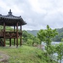 충주호 종댕이 이미지