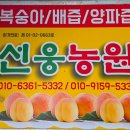 선웅농원 네이버블로그