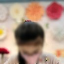 봄씨테이블 이미지