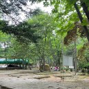 금원수목원수영장 이미지