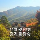 이제이투어(주) | 2024년 경기도 국내여행 11월 단풍 모노레일 화담숲