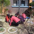 이리부천초등학교 이미지