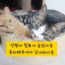 메이베베 이미지