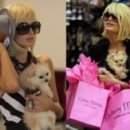 개팔자 상팔자 이미지