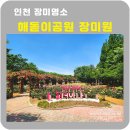 해돋이공원(관리사무소) | 인천 송도 해돋이공원 장미원 장미실시간 6월6일