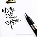 반딧불문구