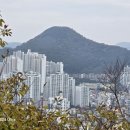 2024.11.15 백산,진조말산,옥련선원,민락수변공원,민락회센타,제1회밀락루체페스타,광안리빛축제.국화축제,광안리해수욕장, 이미지