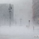 (주)화이트아웃 이미지