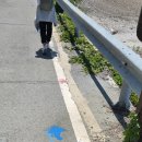 청산횟집 이미지