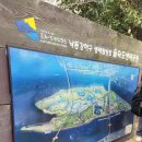 하단동1240 이미지