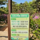 인천대공원 내 | 소래산 등산 후 인천대공원 산책🌷 튤립·수목원·동물원까지 힐링(4/24 방문)
