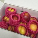 승주농장 | 승주농장 골드복숭아 여름의 달콤함을 가득 담은 명품 복숭아