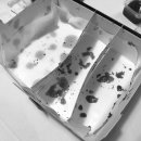 석산오리 이미지