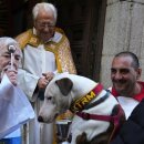 축복농장 이미지