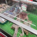 송원닭집 네이버블로그