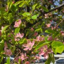 분보남보 | 경산 베트남 음식점 추천, 분보남보 솔직 후기