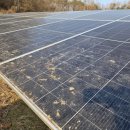 태양약품 이미지