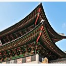 단청 Daum카페