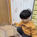 리틀하버드어린이집 이미지