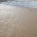 뉴해송펜션 이미지