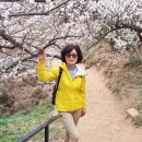 썬스타골프 이미지