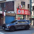 명신수선
