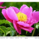 지축초등학교 이미지