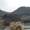 신안댁