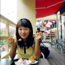 드 림 로 이미지